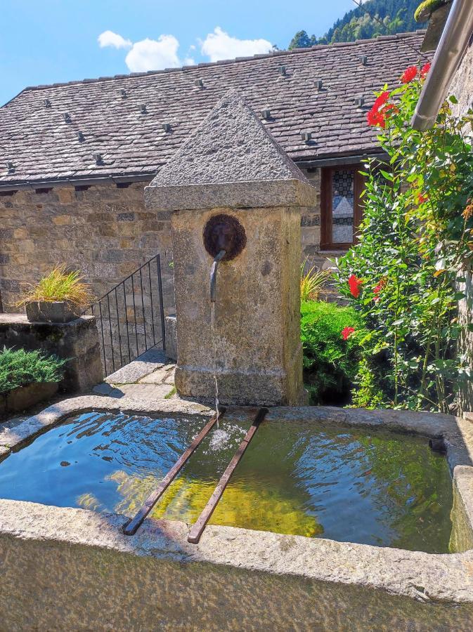 La Casa Del Busso Bed & Breakfast Boccioleto Eksteriør bilde